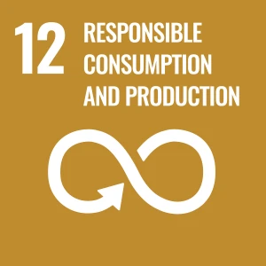 sdg-logo